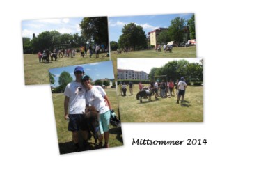 22.06.2014 Fun4Kids beim "Mittsommer" in Waldenbuch